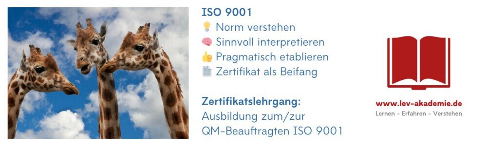 20 LA Werbung - Was ist ein Qualitätsmanagementsystem?